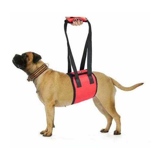 Carrying Support Belts And Dog Belts For Pet Transportation (red m) - Thsinde