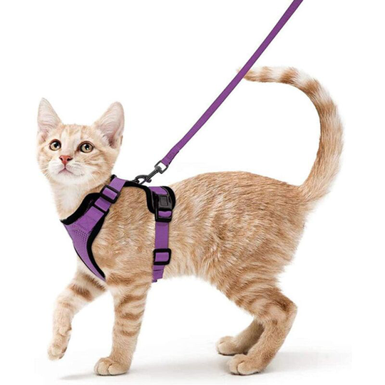 Cat Harness Small Dog Leash Adjustable Kitten Harness Purple S Collar Reflective Cat Harness Vest Breathable Vest for Rabbit, European Cat, Maine
