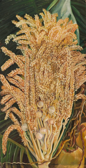 156. Inflorescence and Ripe Nuts of the Cocoanut Palm. by Marianne North - Art Print on Paper