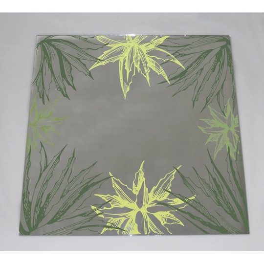 Arden Botanical Aloe Accent Mirror