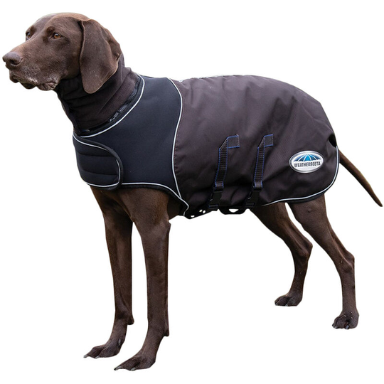 Weatherbeeta - Comfitec Ultra Cozi Medium Lightweight Dog Coat (25cm) (Charcoal/Blue/White) - Charcoal/Blue/White