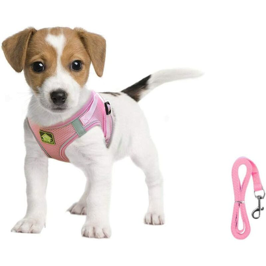 Small Dog Cat Harness Vest Harness Soft Reflective Mesh Adjustable Puppy Vest and Leash Set for Small and Medium Sized Dogs(Pink,M)
