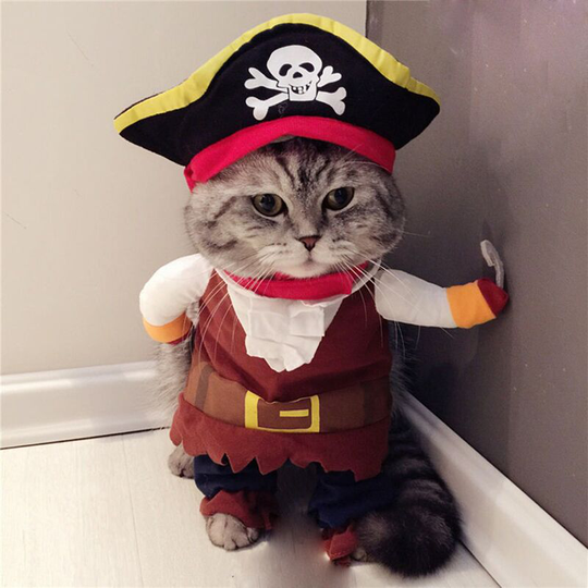 Pirate of the Caribbean Funny Cat Costume for Dog Pet Clothes for Dressing Up Party Apparel Clothes for Dog Cat Plus Hat(L)