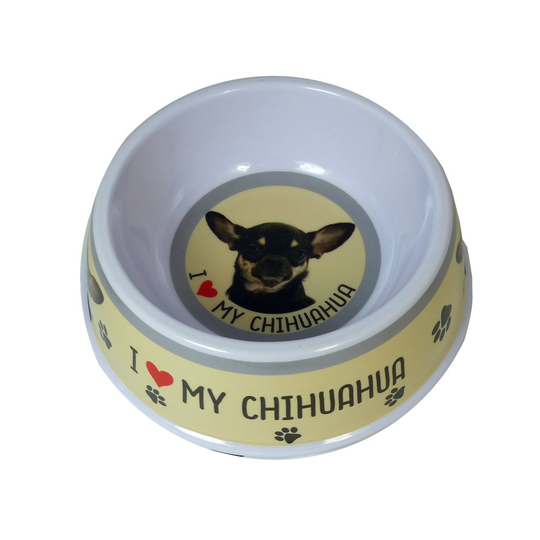 Multi Coloured Chihuahua Dog Bowl