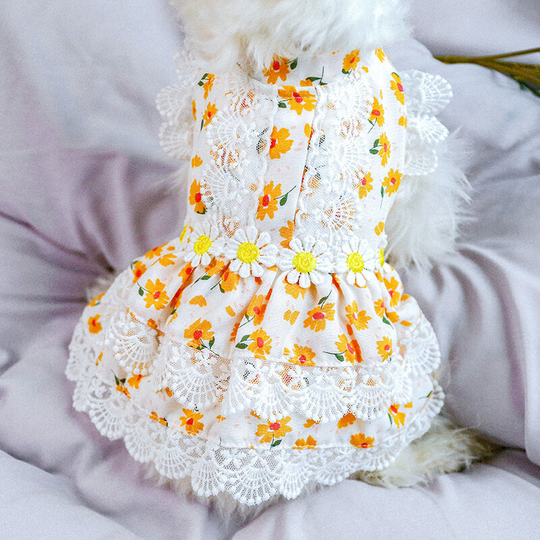 Suitable for small dogs, cats, girls, summer pet beach clothes, cute daisy, emerald flower, princess party, puppy dress, pet lace skirt, orange m