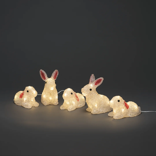 Rabbits Novelty with LED