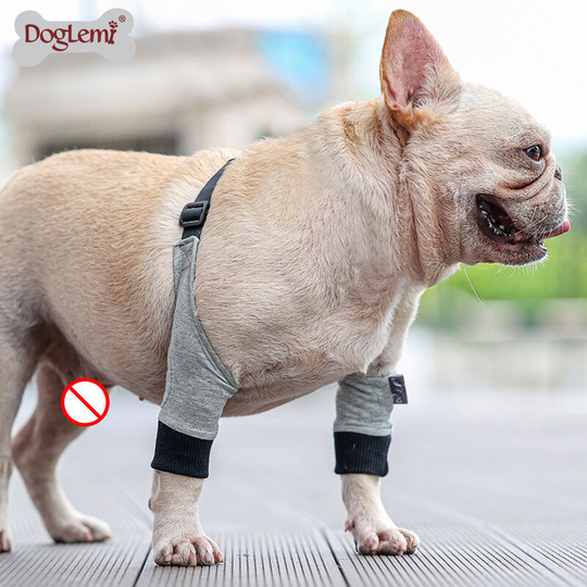 Elbow Pad Protector Soft Breathable Pain Relief Shoulder Support Elbow Sleeve Pads For Dog-M