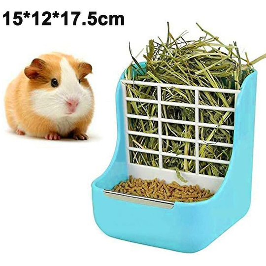 Rabbit Food Bowl Blue- ssxjv