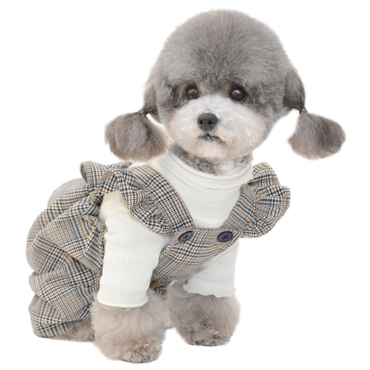 Benobby Kids - Plaid back pants - blue plaid m, Teddy Bichon Pomeranian Maltese clothes thin anti-soiling pumpkin pants for puppy girls and boys,