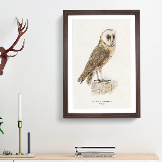 Perched Owl by Von Wright - Picture Frame Painting Print