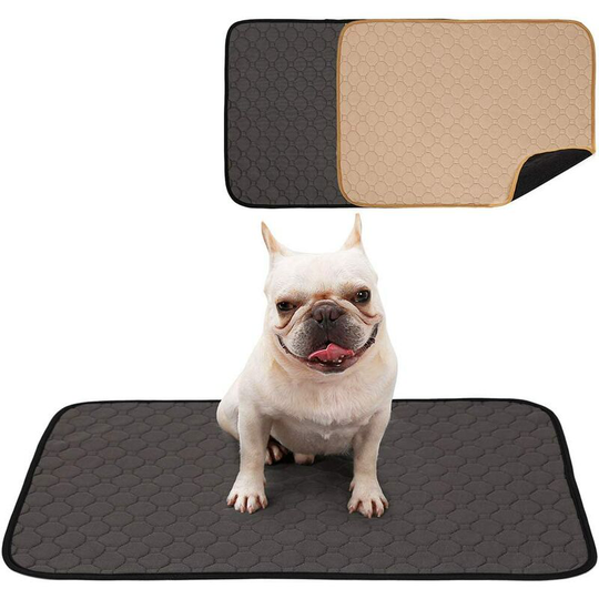 2Pc Dog Trainer Mat Clean Dog Mat Washable Quick Drying And Absorption Training Mat For Dog Cat (Grey + Yellow)