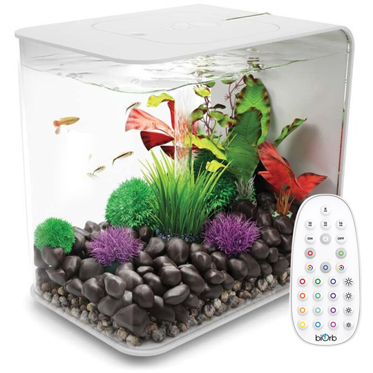 Biorb - Flow 30L Aquarium, White with mcr led lighting