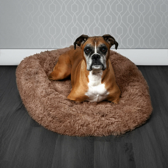 (Brown) Pawamore Soft Calming Anxiety Pet Bed - Large