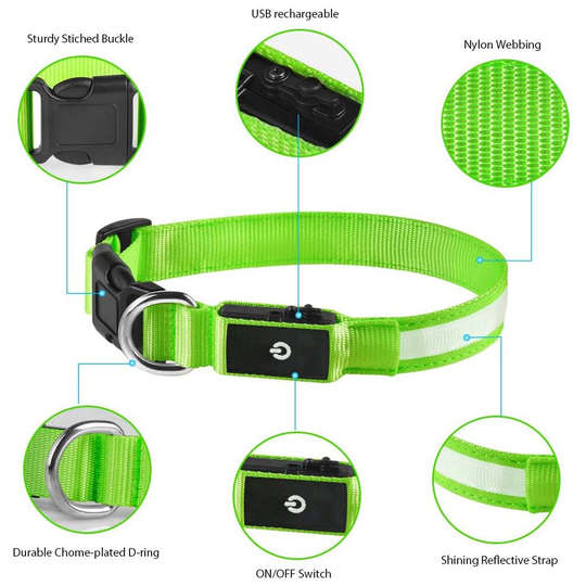 (Green, M) LED Dog Collar with Rechargeable & Waterproof