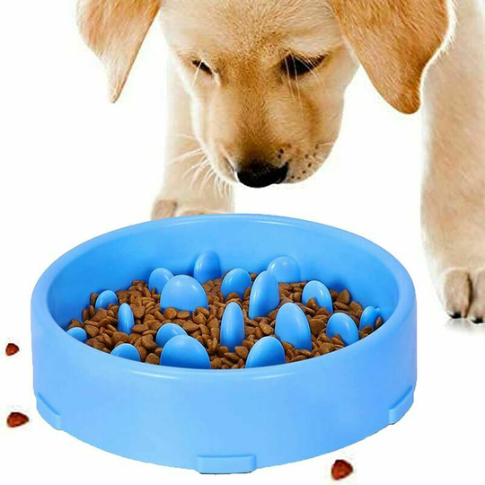 Slow food bowl for dogs, slow Feeding Fun Interactive Fun Fun Food Cats and dogs for bowl, promotes healthy diet and slow digestion (blue)