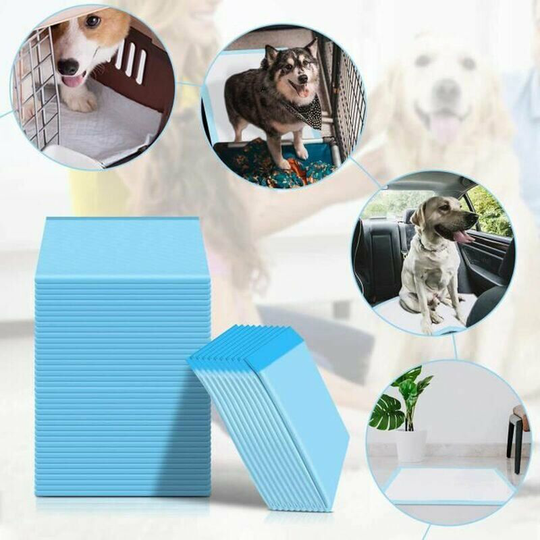 Potty Training Mats Dog Training Mats Lot of 100 Training Mats Absorbent Mats for Pets 33x45cm