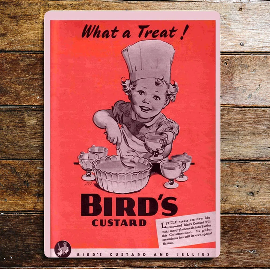 Birds Custard What a Treat Metal Wall Décor