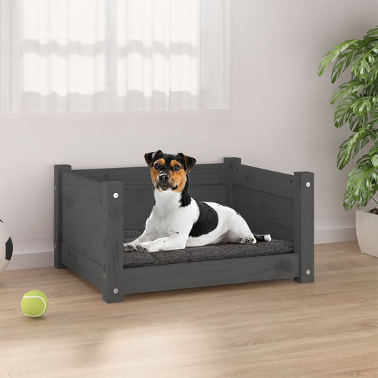 Dog Bed Grey 55.5x45.5x28 cm Solid Pine Wood