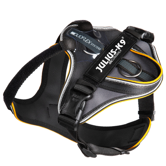 JULIUS-K9 IDC® Longwalk Harness - Size M: Chest Circumference 56 -76cm