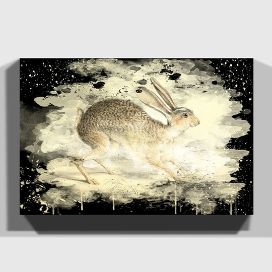 'Vintage Joseph Wolf Black-Tailed Jack-Rabbit' Graphic Art on Wrapped Canvas
