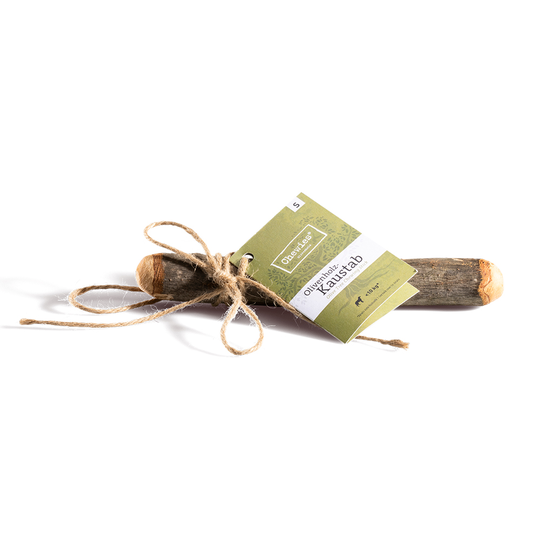 Chewies Olive Wood Chew Sticks - 1 Stick - S (for dogs