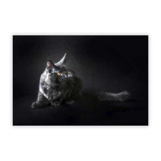 Maine Coon Kitten' - Unframed Painting Print on Paper