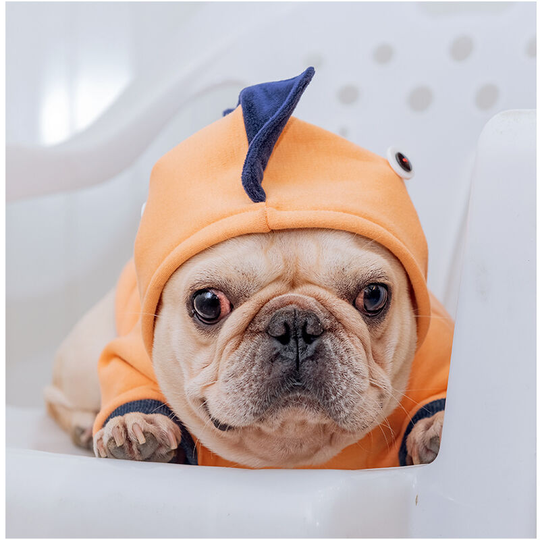 Dinosaur design dog padded coat with hood, dinosaur padded stretch cotton pet clothes Chenery Teddy Fighting Bichon Corgi autumn and winter cartoon