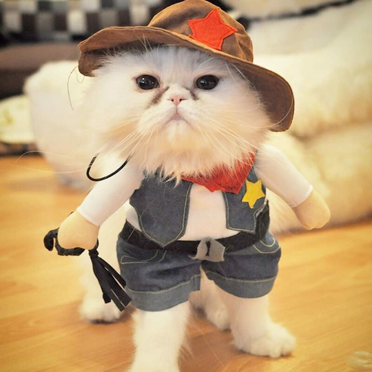 Cowboy Dog or Cat Christmas Costume with Hat, Size s