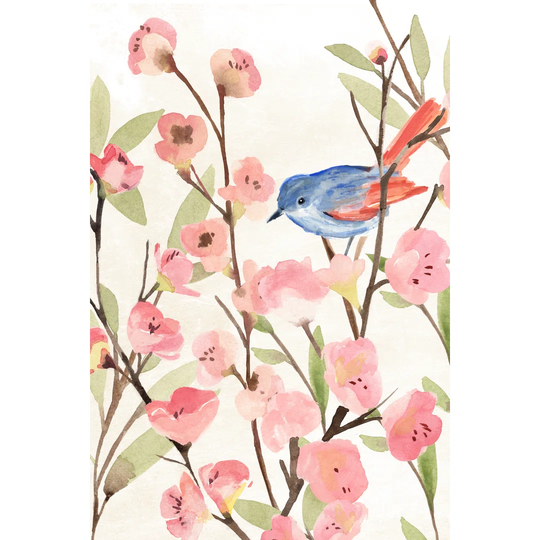 Cherry Blossom Perch II - Print