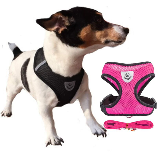 Readcly - Harness s Pink for Cat/Dog/Puppy ventilated + Without Leash same color. Anti-pull, adjustable. 4 different sizes: small, medium, large and