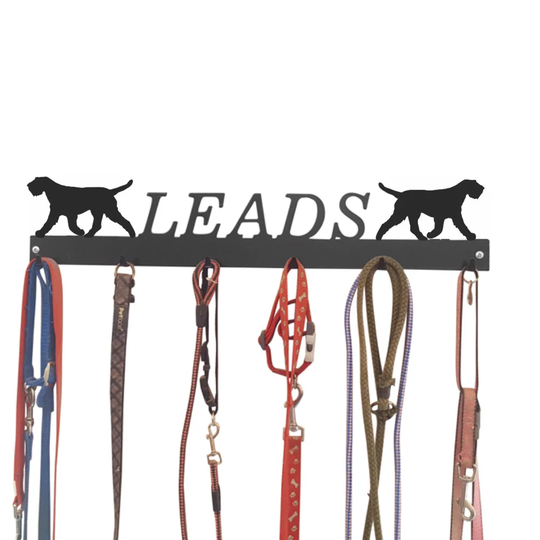 Alwigh Wall Mounted Coat Rack