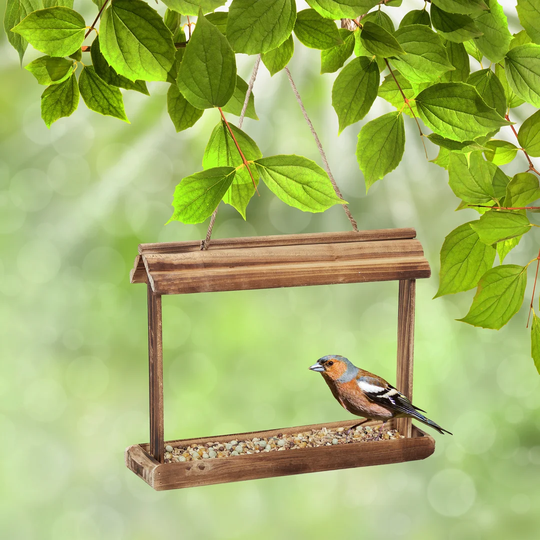 Mauch Tray Bird Feeder
