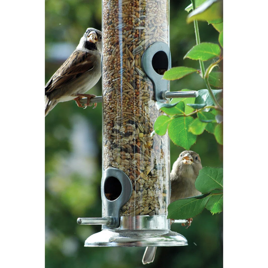 Aneesia Tube Bird Feeder
