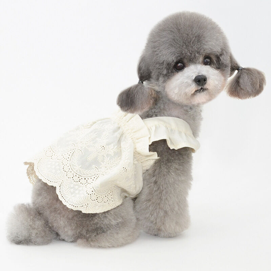 Puppy clothes pet clothes spring and summer new pet skirt purchase over skirt cat skirt Teddy Boomer skirt embroidered sling skirt - beige (m) back