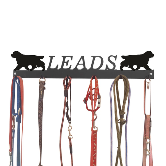 Ambani Wall Mounted Coat Rack