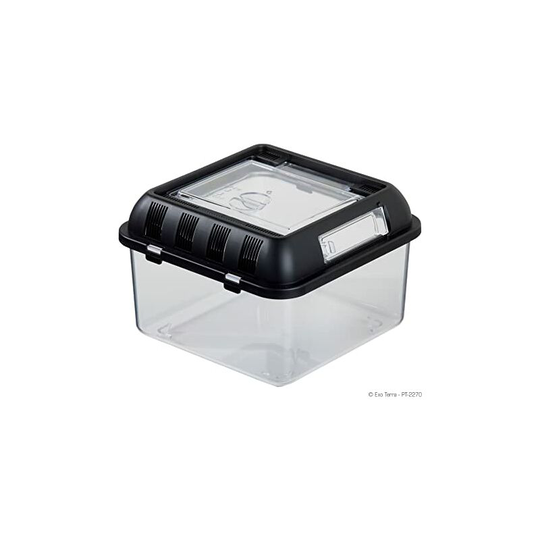 Sun Flowergb - Reptile Breeding Transport Box Portable Acrylic Beetle Reptile Breeding Box Scorpion Spider Horned Frog Guard House Hamster Snake