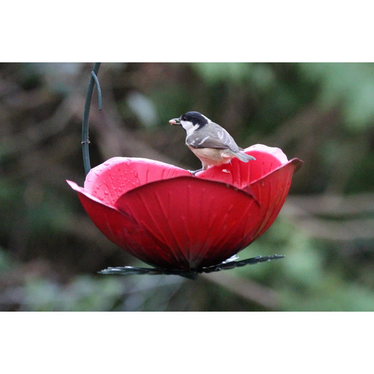 Nettie Decorative Bird Feeder
