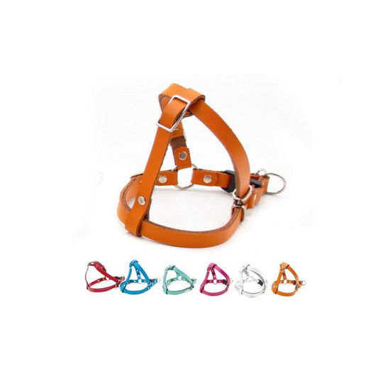 (Small Breed, White) Spring Leather No Choke Adjustable Dog Harness