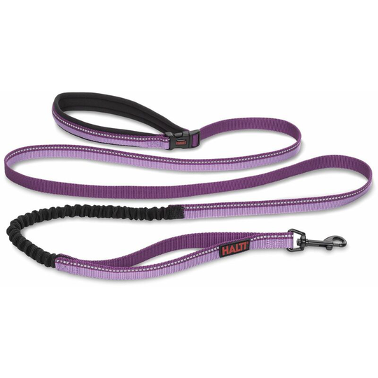 Halti Active Lead Purple - Large - HA035