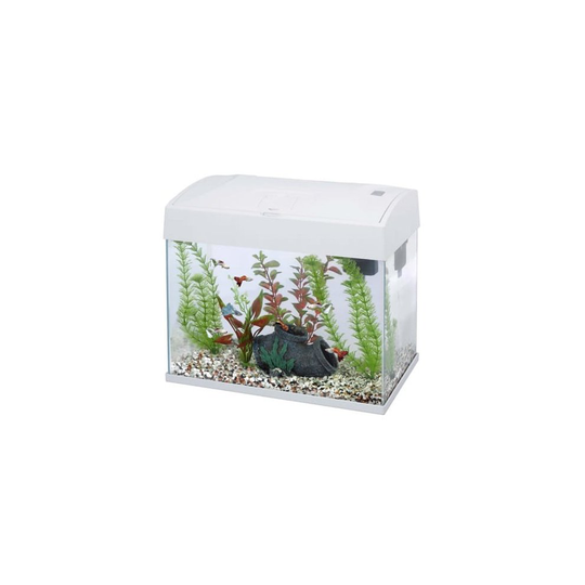 (White) Fish 'R' Fun Rectangular Tank 20L