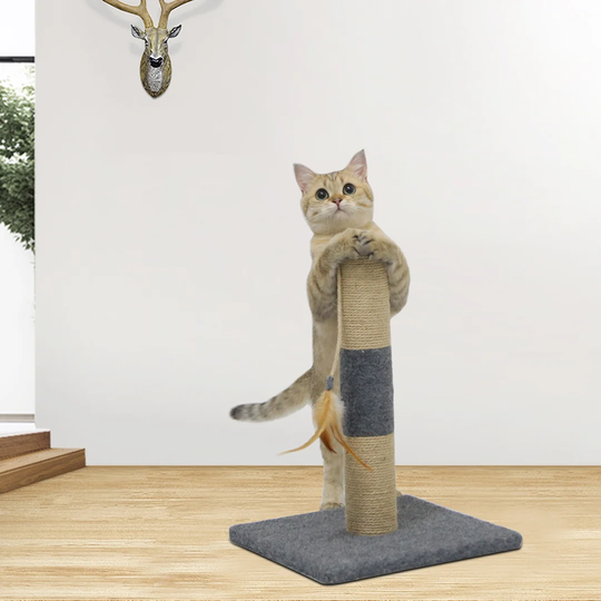 Stovall Scratching Post