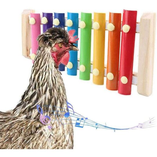 Betterlifegb - Chicken Toy Parrot Toy Xylophone Toy 8 Keys Chicken Picore Toy Pouloiling Picore Toy Children's Toys