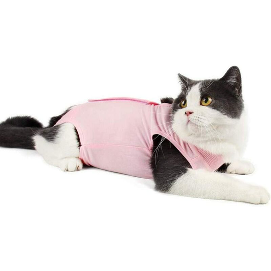 Cat Rehabilitation Suit For Abdominal Wounds Or Skin Diseases, Wearing After Surgery, Anti-Leak Injury, Electronic Cat Collar Replacement, Rose, l.