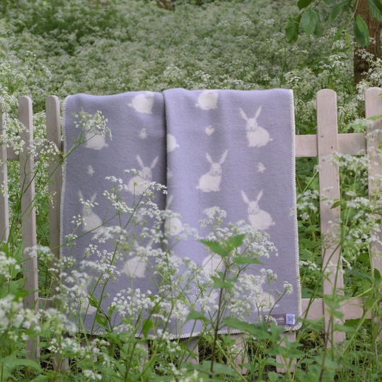 Blanket