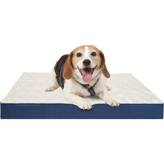 Dog Bed for Large Dogs, Orthopedic Foam Mattress - Dog beds - 76cm * 51cm * 8cm, Blue - Blue