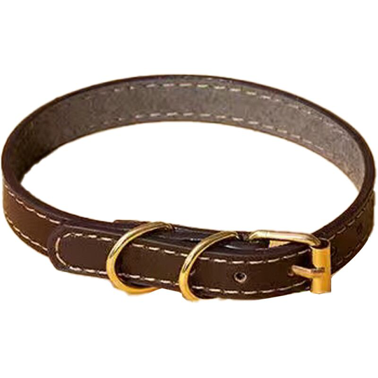 Luxury Leather Dog Collar - Handmade For Medium Breeds,