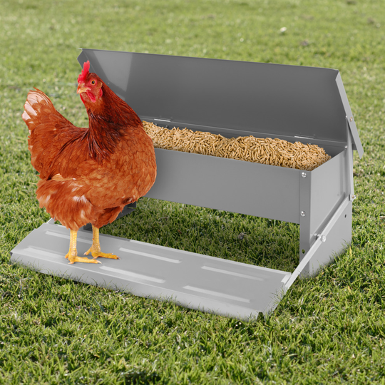 KCT 5kg Automatic Chicken Feeder Rat Proof Poultry Trough