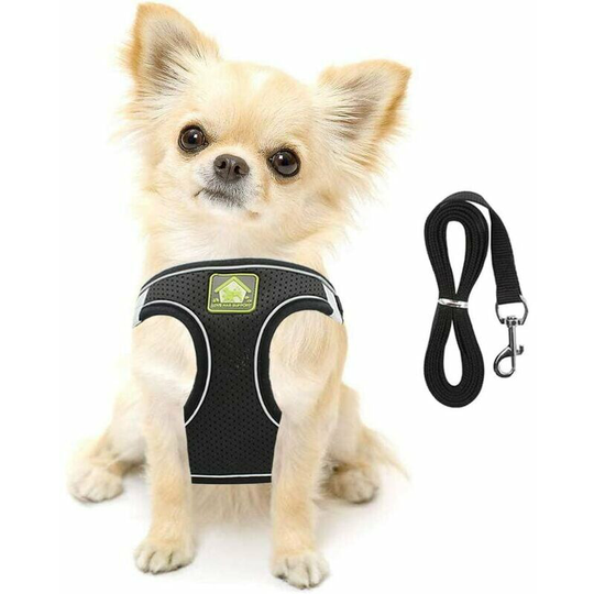 Small Dog Cat Harness Vest Harness Soft Reflective Mesh Adjustable Puppy Vest and Leash Set for Small and Medium Sized Dogs