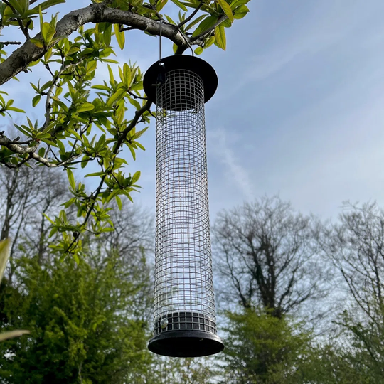 Ginevra Tube Bird Feeder