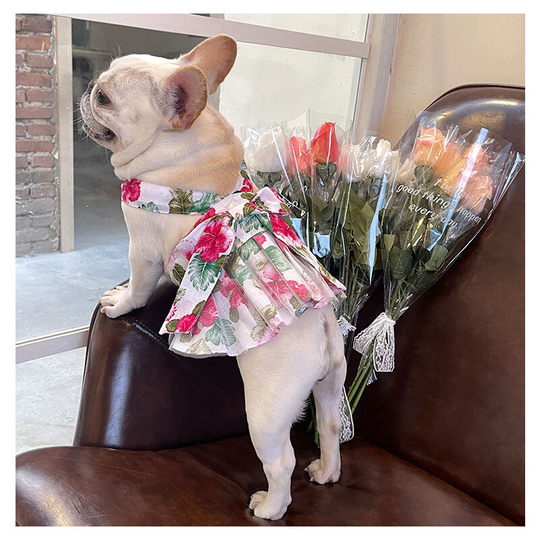 Mesh print pet clothes dress ruffle lace halter dress princess dress size medium (m) back length 30 chest 40-45 neck circumference 38 weight